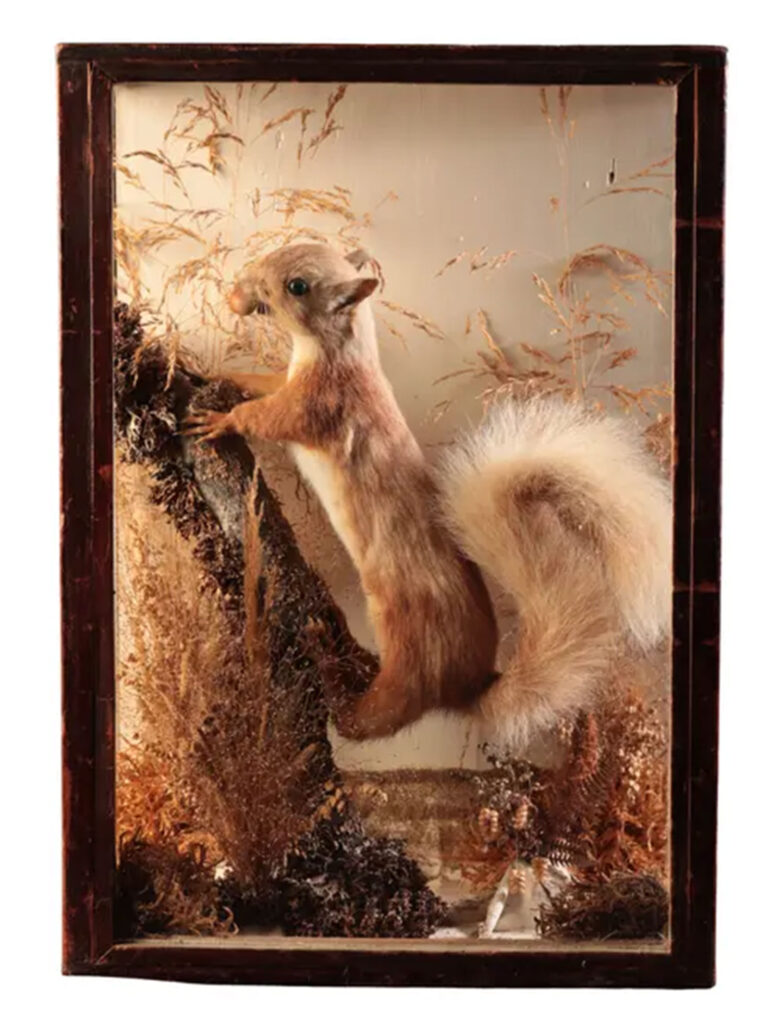 one of the bizarre taxidermy available for sale at Duke’s Auctioneers in Dorchester, Dorset on 15 February.