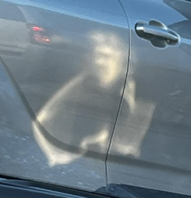 Mum spots ghost of Elvis Presley on car door. His iconic quiff and arm are visible. People react with surprise and humor.