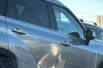 Mum spots ghost of Elvis Presley on car door. His iconic quiff and arm are visible. People react with surprise and humor.