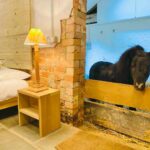 inside the unique Stay in in Thurgarton, Nottinghamshire, with the Miniature Shetland Pony, available online for renting on Airbnb.