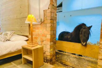 inside the unique Stay in in Thurgarton, Nottinghamshire, with the Miniature Shetland Pony, available online for renting on Airbnb.