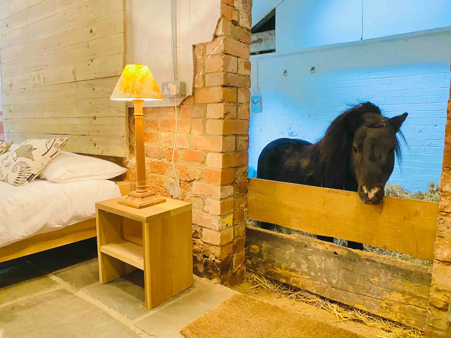 inside the unique Stay in in Thurgarton, Nottinghamshire, with the Miniature Shetland Pony, available online for renting on Airbnb.