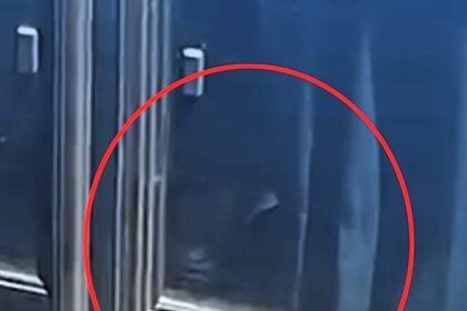 local in Catamarca, Argentina, captured footage of what appears to be the ghostly face of a child in a bus window, sparking speculation and humor among viewers.