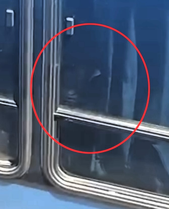 local in Catamarca, Argentina, captured footage of what appears to be the ghostly face of a child in a bus window, sparking speculation and humor among viewers.