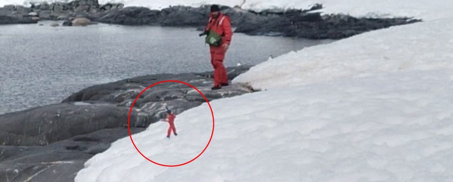 The bizarre image of Elf (circled) spotted at Antarctica on Google Maps.