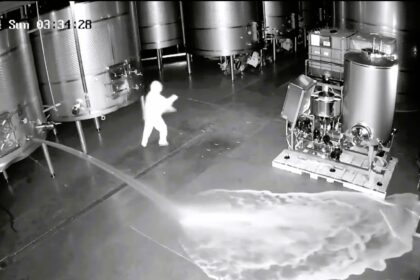 A vandal broke into a winery in Castrillo de Duero, Spain, pouring £2.1 million worth of wine onto the floor. The incident devastated the vintner, causing significant losses.