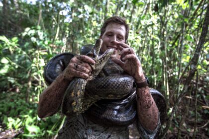 The discovery of the world's largest snake, the Northern Green Anaconda, in the Amazon Rainforest, measuring 26ft long and weighing 440 lbs, was made by TV wildlife presenter Professor Freek Vonk in remote Brazil. The findings were published in the scientific journal Diversity on 16 February.