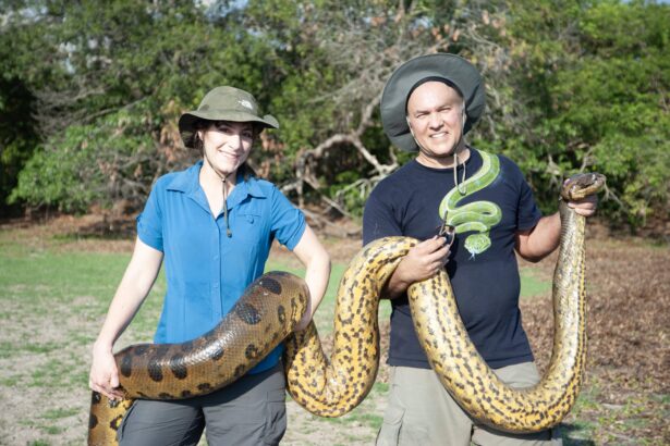 VIDEO: World’s Largest Snake Discovered In Amazon Rainforest And Is ...