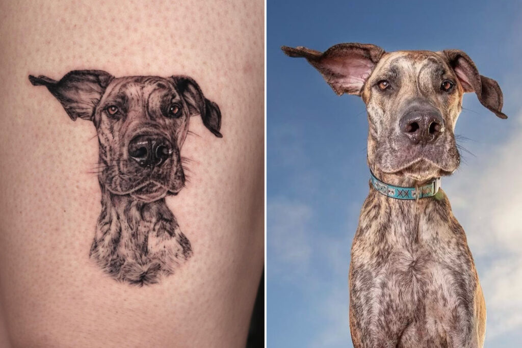 Tattoo artist Yeono specializes in creating stunningly lifelike pet tattoos, capturing not just the likeness but the spirit of cats and dogs. Based in Los Angeles, USA, her meticulous work takes up to nine hours, offering clients a lasting tribute to their beloved furry friends.