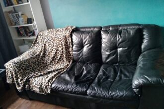 Inside the bizarre “budget” stay in Greenwich which is available for rent.