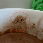 Morning routine takes a surprising turn when woman discovers Baby Yoda's face in her coffee foam, sparking amused debate online.