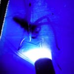 A camper's tranquil night turned into a nightmare when he stumbled upon an enormous spider lurking in his tent. The chilling encounter, reminiscent of a horror movie scene, unfolded in Mestre Álvaro, Brazil, leaving viewers on edge. Shared on TikTok, the video quickly gained millions of views, with some speculating about the spider's species and others expressing sheer horror at its size. Despite the fright, the camper emerged unscathed from the spine-tingling ordeal.