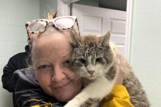 Chuffed woman reunited with her cat Kevin Durant after seven years, found living with strays a mile from home. Kevin is now back with Liz, receiving treatment, and adjusting to home life again at age 12.