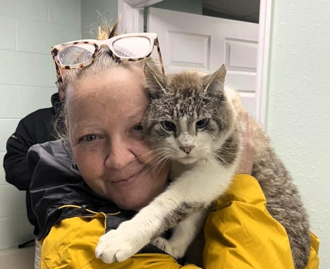 Chuffed woman reunited with her cat Kevin Durant after seven years, found living with strays a mile from home. Kevin is now back with Liz, receiving treatment, and adjusting to home life again at age 12.