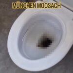Shopper horrified by floating poo in Munich showroom toilet, sparking viral video with millions of views and reactions on Instagram.