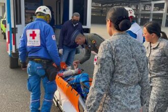 Two paragliders survived six days on Colombia's highest mountain, sustained by sweets after a crash. Rescued by authorities, their survival tale is a testament to human resilience.