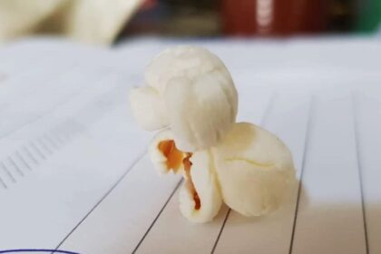 A man found a surprising piece of popcorn shaped like a Bichon Frisé dog, stunningly detailed with ears, nose, and body, sparking amusement online.