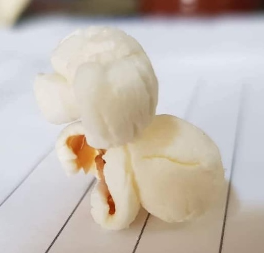 A man found a surprising piece of popcorn shaped like a Bichon Frisé dog, stunningly detailed with ears, nose, and body, sparking amusement online.