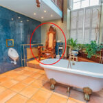 A £575,000 Grade II Listed house boasts a unique bathroom with a literal throne for the toilet, jacuzzi, and sauna. Set in beautiful gardens, it's a 400-year-old gem.