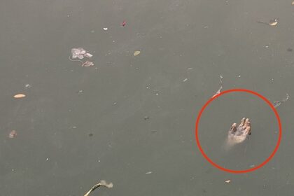 Horrified locals mistook a rubber glove for a human hand floating in a canal, prompting a police response in Thailand.