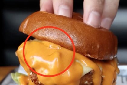 Gordon Ramsay's £18 G.F.C Burger sparked controversy as customers debated whether they spotted a hair in it. Despite the divide, Ramsay clarified it was just a shadow, defending the dish's quality.