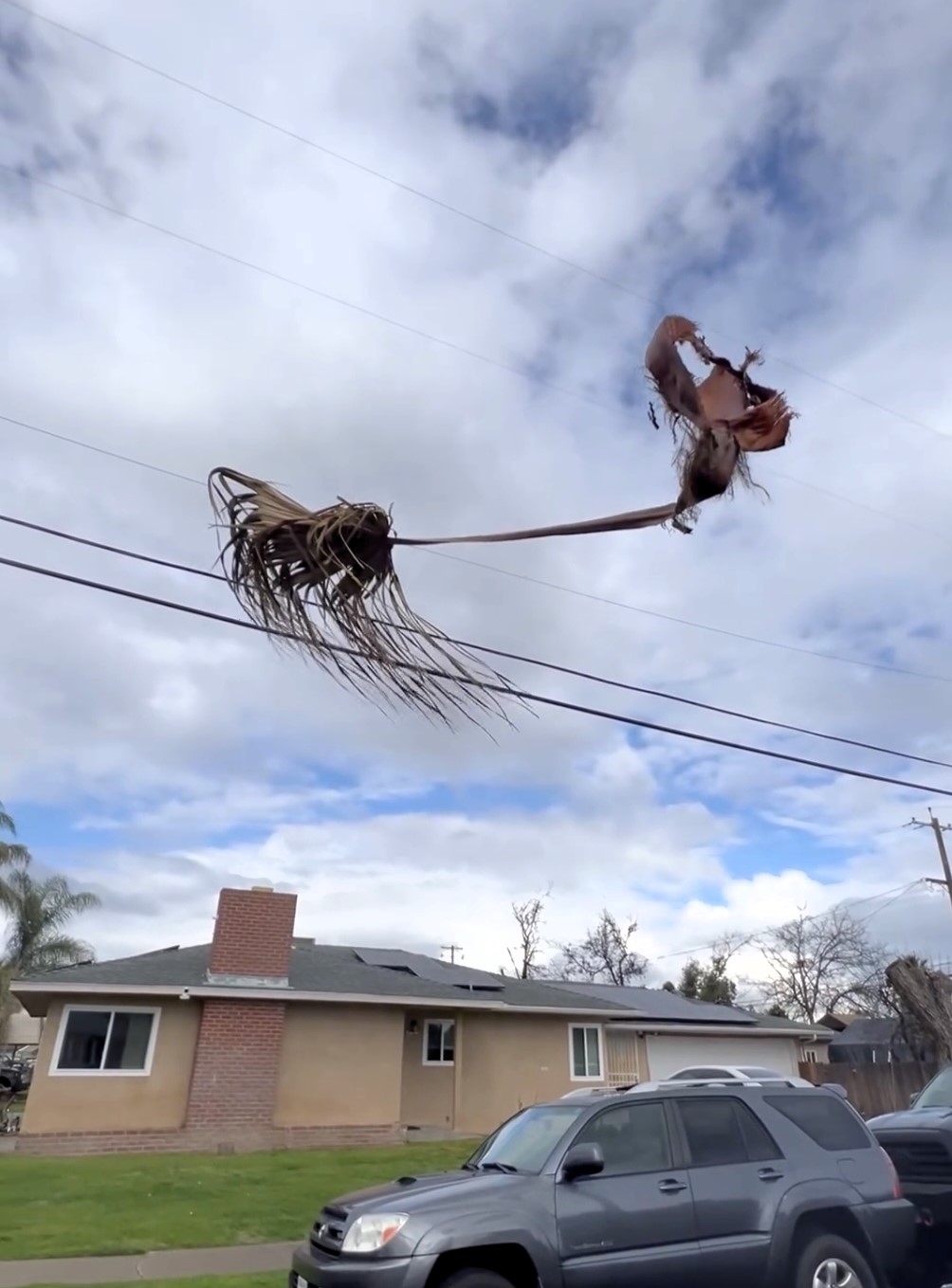 Social media users are amazed by a 'floating' palm tree branch in Fresno, California, likening it to a Hogwarts broomstick. Luis Chavez's viral video sparks jokes about finding a new route to the fictional school.