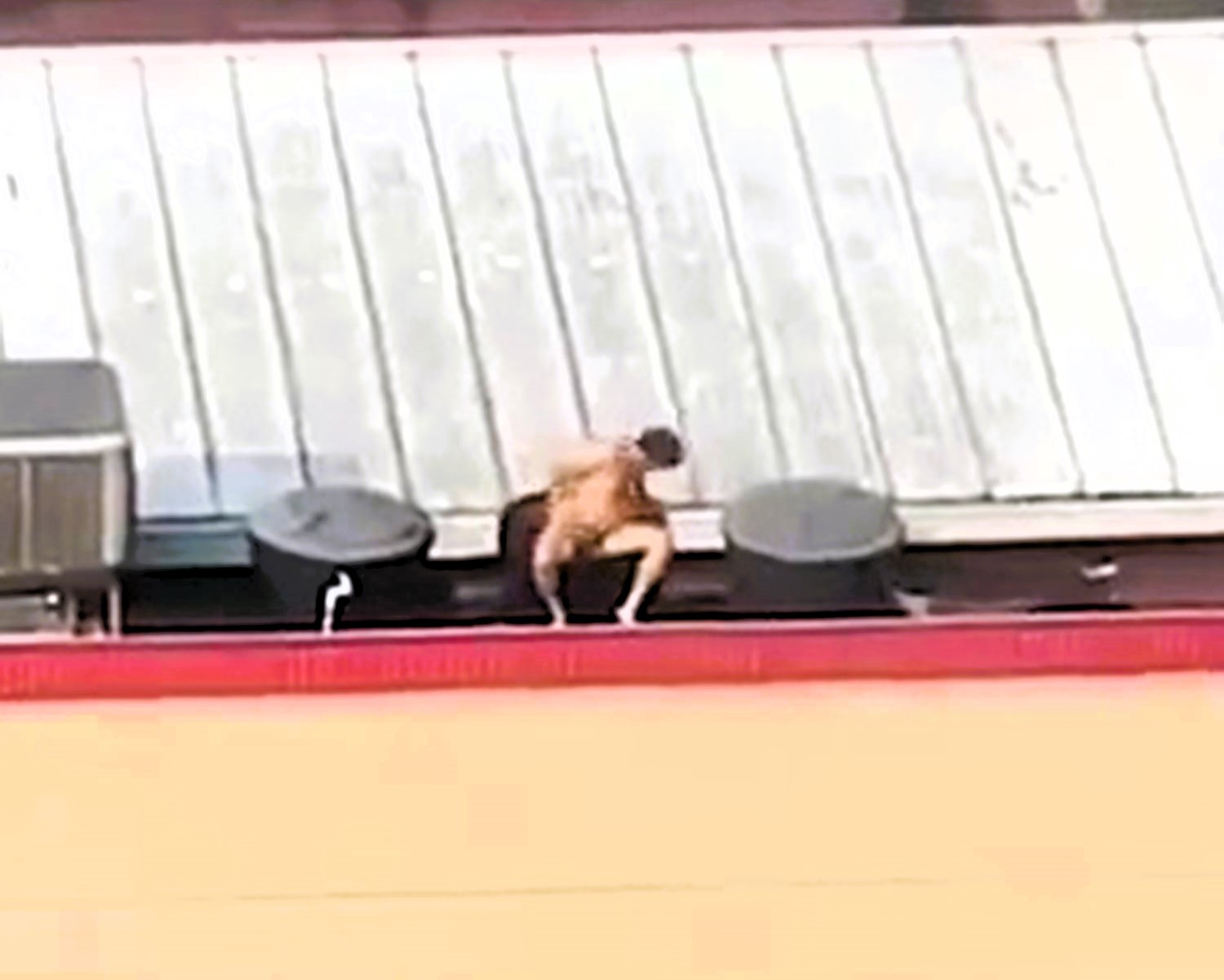 A bizarre incident unfolds as a man takes a bath in a Burger King water tank in Colombia. The restaurant assures customers of product safety.