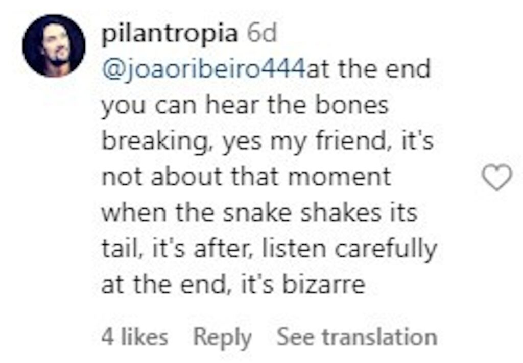 Social media comment on the post of Giant anaconda spotted crushing a small alligator in the Amazon Rainforest. Video captures the reptile's futile struggle. Locals comment on the intense encounter.