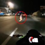 A motorcyclist's helmet camera captures a spooky moment as a small figure appears to dash across the road before vanishing, leaving viewers baffled.