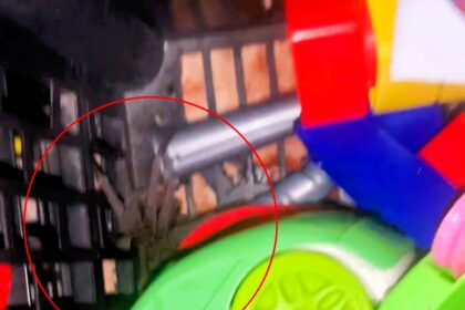 A mum found a dangerous spider in her toddler's toy box, leading to a bite and hospital visit. Brazilian wandering spiders are known for their venom.