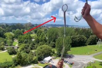 Adrenaline junkies can now experience a unique thrill with VERTIGO, a bungee jump without a rope, plunging 141ft to the ground at Velocity Valley Adrenaline Park in New Zealand.