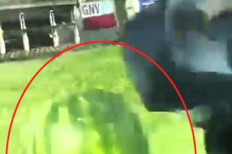 A biker in Brazil surprises onlookers by wearing a hollowed-out watermelon as a helmet while cruising on a motorway near Rio de Janeiro. Authorities warn of penalties for riding without proper headgear.