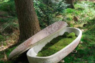 Embrace eco-friendly burial with a biodegradable mushroom coffin, the world's "first living coffin." Made from local mushroom species and hemp fibres, it decomposes in just 45 days, enriching the earth and increasing biodiversity. Certified for various burial methods.