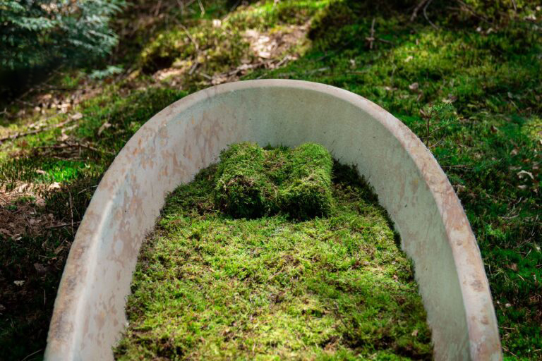 Embrace eco-friendly burial with a biodegradable mushroom coffin, the world's "first living coffin." Made from local mushroom species and hemp fibres, it decomposes in just 45 days, enriching the earth and increasing biodiversity. Certified for various burial methods.
