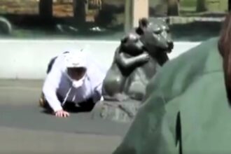 Zookeeper dons white tiger costume to simulate escape scenario, training staff at Tobu Zoo, Japan. Annual drills ensure preparedness for emergencies.