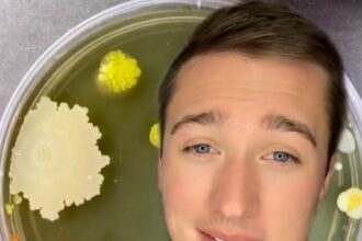 The shocking truth about cinema popcorn! Microbiologist's experiment reveals hidden grime, debunking cleanliness myths.