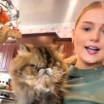 Social media users are amazed by Emerson Ansley's revelation that her pet cat, nicknamed "Benjamin Button," is nearly 100 years old in cat years, defying typical feline life expectancies.