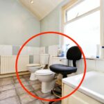 A quirky home in Splott, Wales, hits the market with an unusual bathroom featuring side-by-side toilets, sparking humor and disbelief among Reddit users.