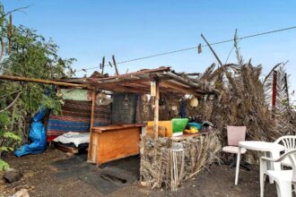 Discover an unconventional holiday rental just £20 per night in a garden hut, offering sea views and basic amenities, near Playa del Verodal, Costa del Sol, Spain.