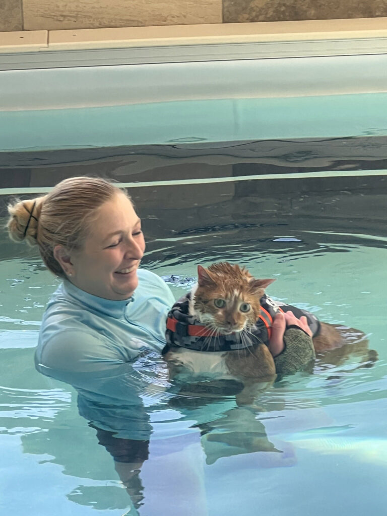Chunky cat Ty, dubbed 'Thicken Nugget', is shedding pounds through swimming lessons to find his forever home. Already down to 26.8 lbs from 30, he's making strides toward his goal weight with twice-weekly water therapy sessions. Fans are cheering him on!