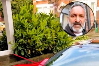 A cunning fox makes a second appearance, leaving its mark on a £200,000 Ferrari, much to the frustration of the car's owner in South Woodford, London.