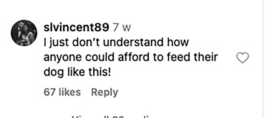 Social media comment on the post of A couple's extravagant dog menu, featuring kangaroo hearts and marinated octopus, sparks debate online, with some questioning the expense and others mesmerized by the gourmet creations.