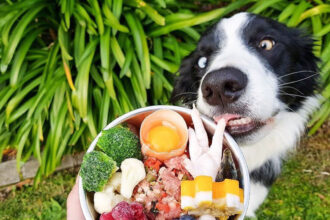 A couple's extravagant dog menu, featuring kangaroo hearts and marinated octopus, sparks debate online, with some questioning the expense and others mesmerized by the gourmet creations.