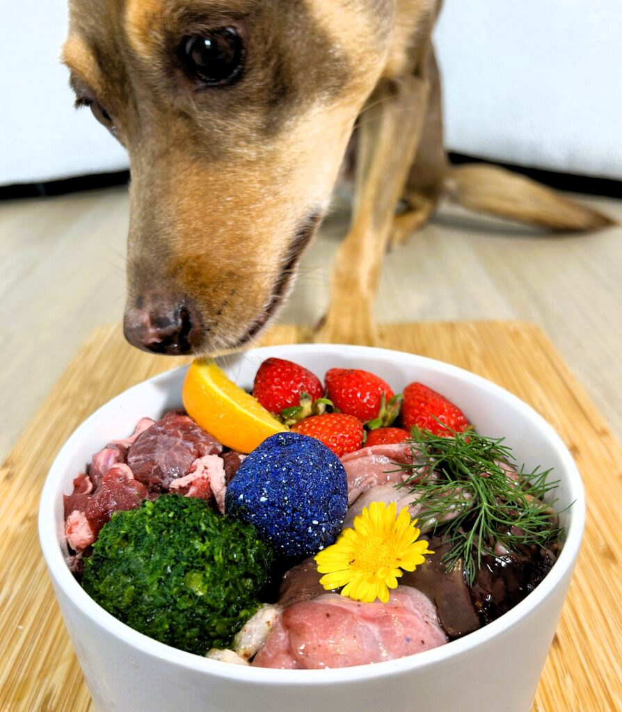 A couple's extravagant dog menu, featuring kangaroo hearts and marinated octopus, sparks debate online, with some questioning the expense and others mesmerized by the gourmet creations.