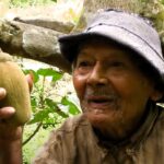 Peruvian farmer claims 124th birthday, possibly surpassing world's oldest man. Tolentino's secret? Healthy diet and coca leaves. Guinness World Record investigation underway.