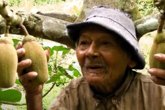 Peruvian farmer claims 124th birthday, possibly surpassing world's oldest man. Tolentino's secret? Healthy diet and coca leaves. Guinness World Record investigation underway.