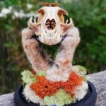 Discover Emily Ulceus' fascinating journey from nature center researcher to unique specimen artist. Repurposing dead animals into stunning jewelry and decor, she's found a creative way to honor life's beauty. Explore her story now.