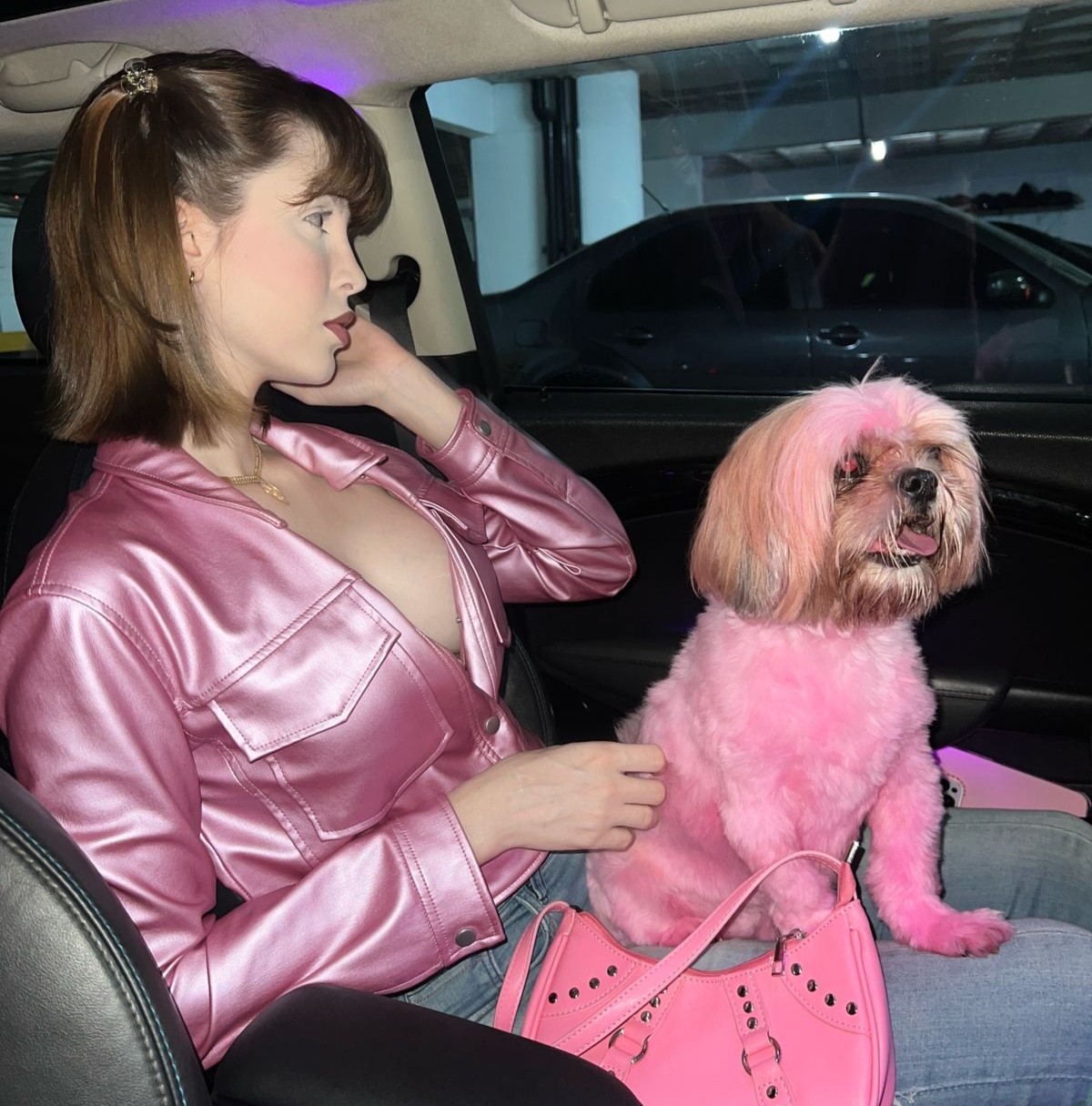 Influencer Sabrina Low faces criticism for dyeing her dog's fur to match her outfit. Despite her explanation of using crepe paper as a less aggressive dye, fans express concerns for the dog's well-being. Sabrina vows not to repeat the act after online backlash.