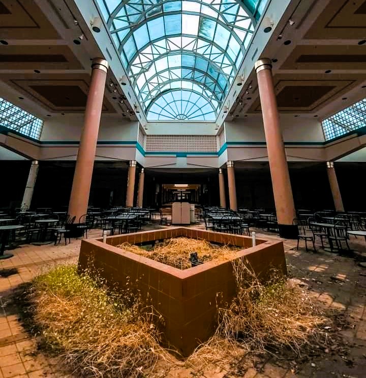 Explore the eerie decay of an abandoned shopping mall, where nature is reclaiming the space. Feathers.Everywhere shares chilling images of the rotting food court, algae-covered jewellery stands, and floors teeming with life. With 2.2m views, viewers are stunned by the haunting scenes and overwhelming decay.