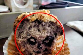 Francesco Vaira was taken aback when he discovered Pennywise's face in his blueberry muffin, formed by the fruit's markings. The eerie resemblance to the horror movie character sparked surprise and amusement among social media users.